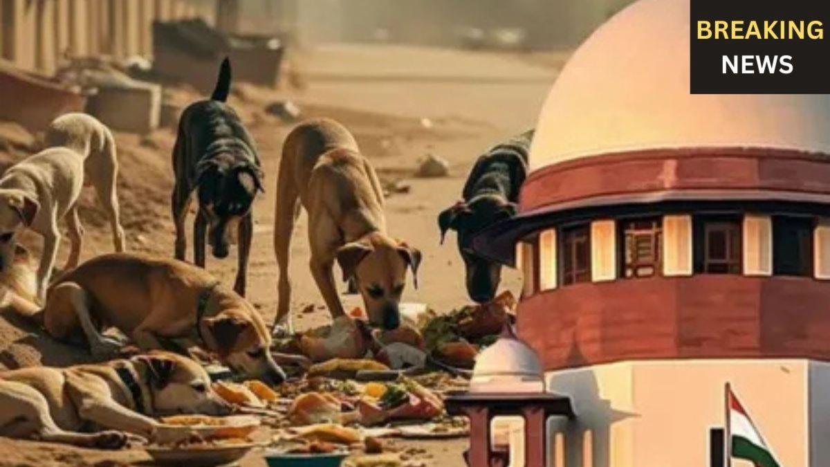 सुप्रीम कोर्ट के जस्टिस विक्रम नाथ, आवारा कुत्तों के फैसले ने बनाया अंतर्राष्ट्रीय हस्ती!