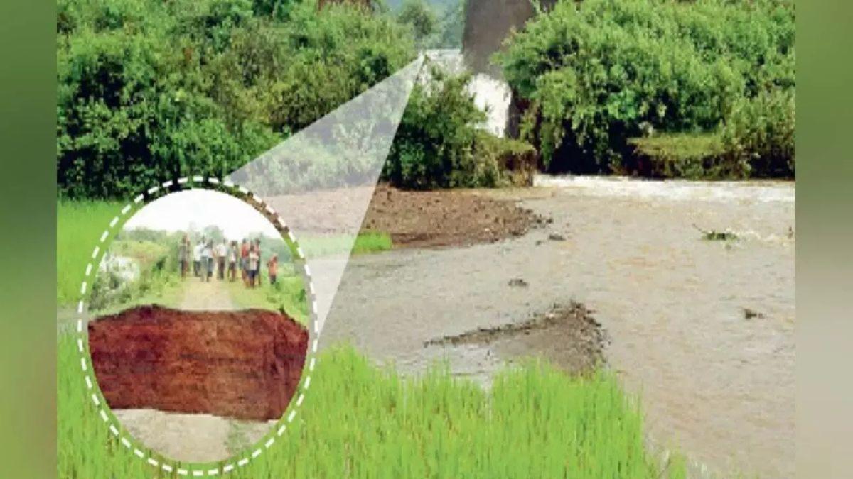 अहिराज सांप के बिल ने मचाया कहर? गेरसा बांध टूटने से 20 एकड़ फसल तबाह