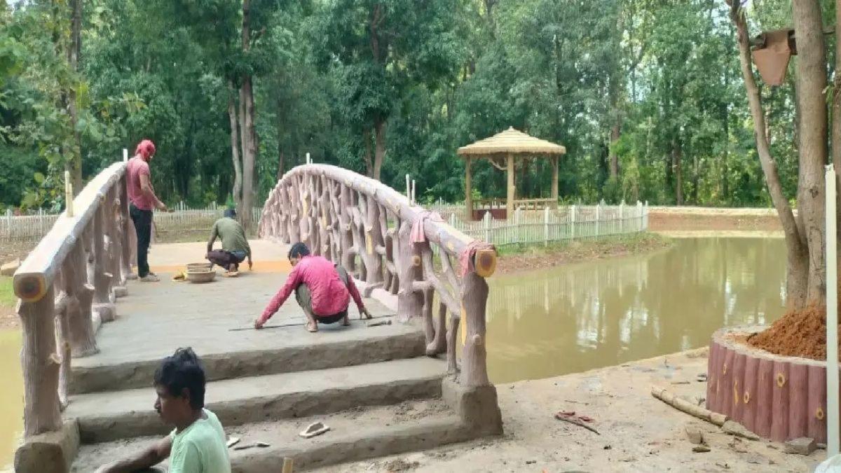 जगदलपुर का नया 'जंगल लॉन': 35 एकड़ में पक्षियों-तितलियों के बीच प्रकृति का आनंद