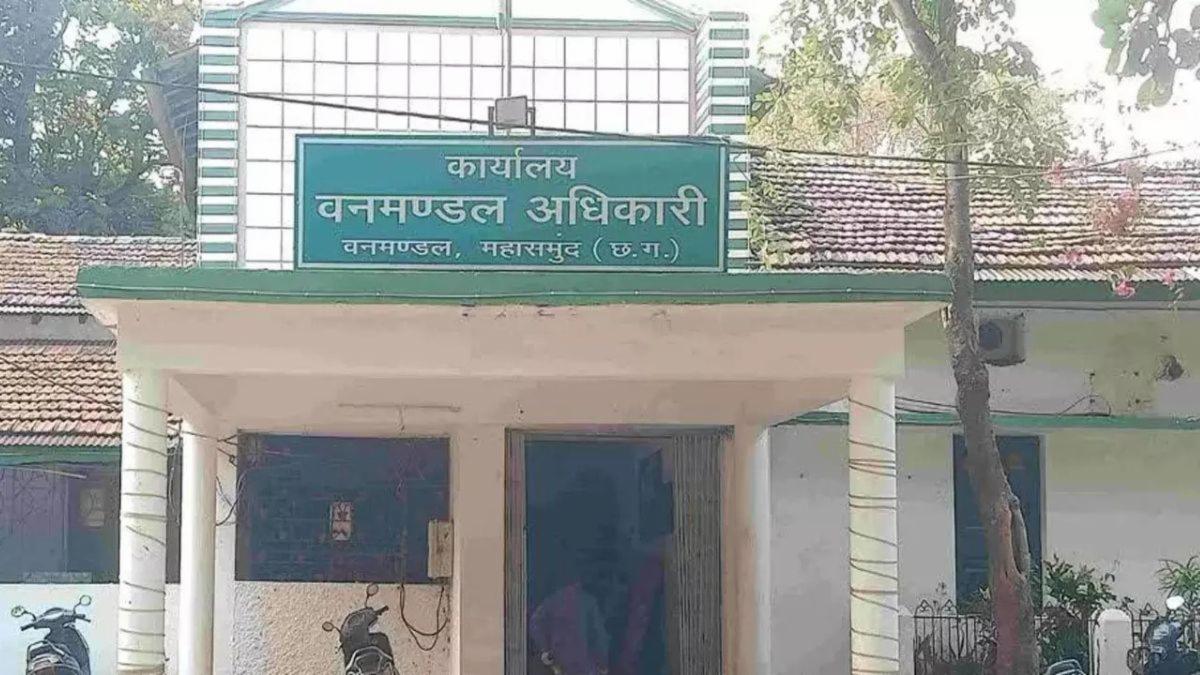 महासमुंद में करंट लगने से भालू की मौत: शिकारियों की करतूत, वन विभाग की जांच जारी