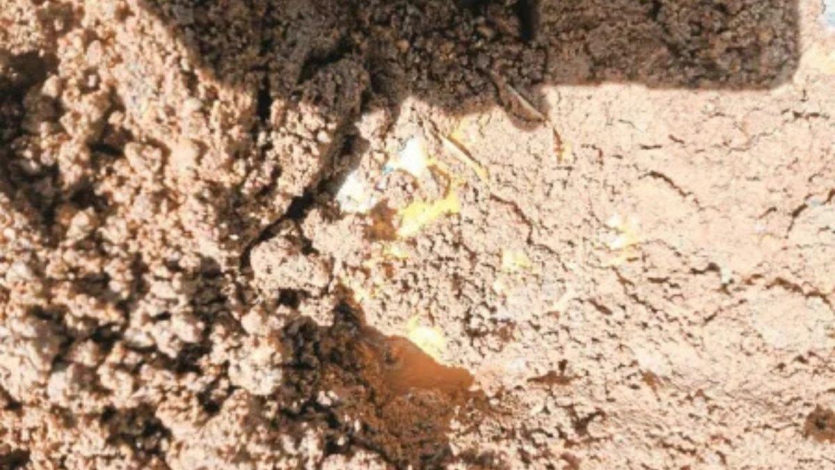 नक्सलियों की नापाक साजिश नाकाम: जवानों ने बरामद किए 10 किलो टिफिन बम और IED, टली बड़ी घटना